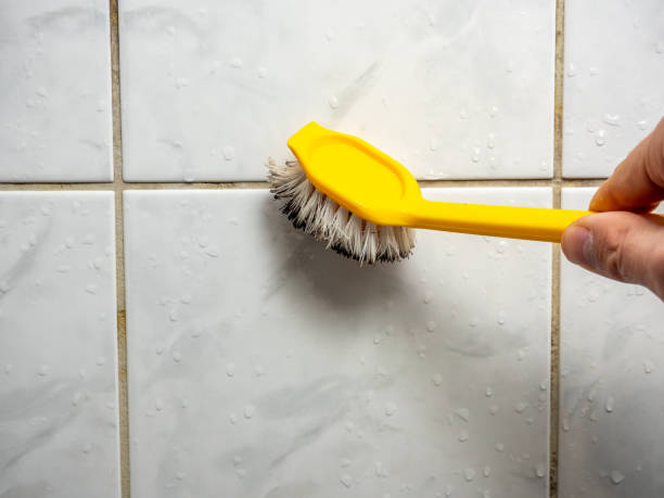 Best Mold Testing  in Wilkes Barre, PA