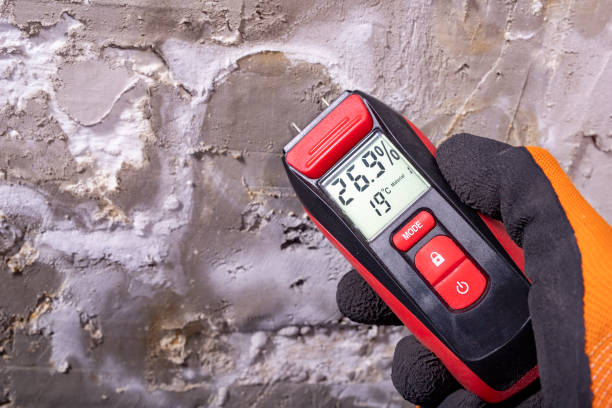 Best Black Mold Removal  in Wilkes Barre, PA
