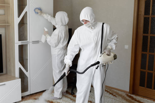Best Mold Removal Process  in Wilkes Barre, PA