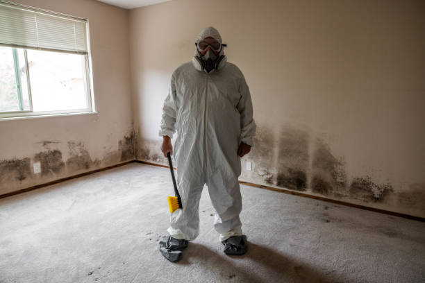 Best Professional Mold Removal  in Wilkes Barre, PA